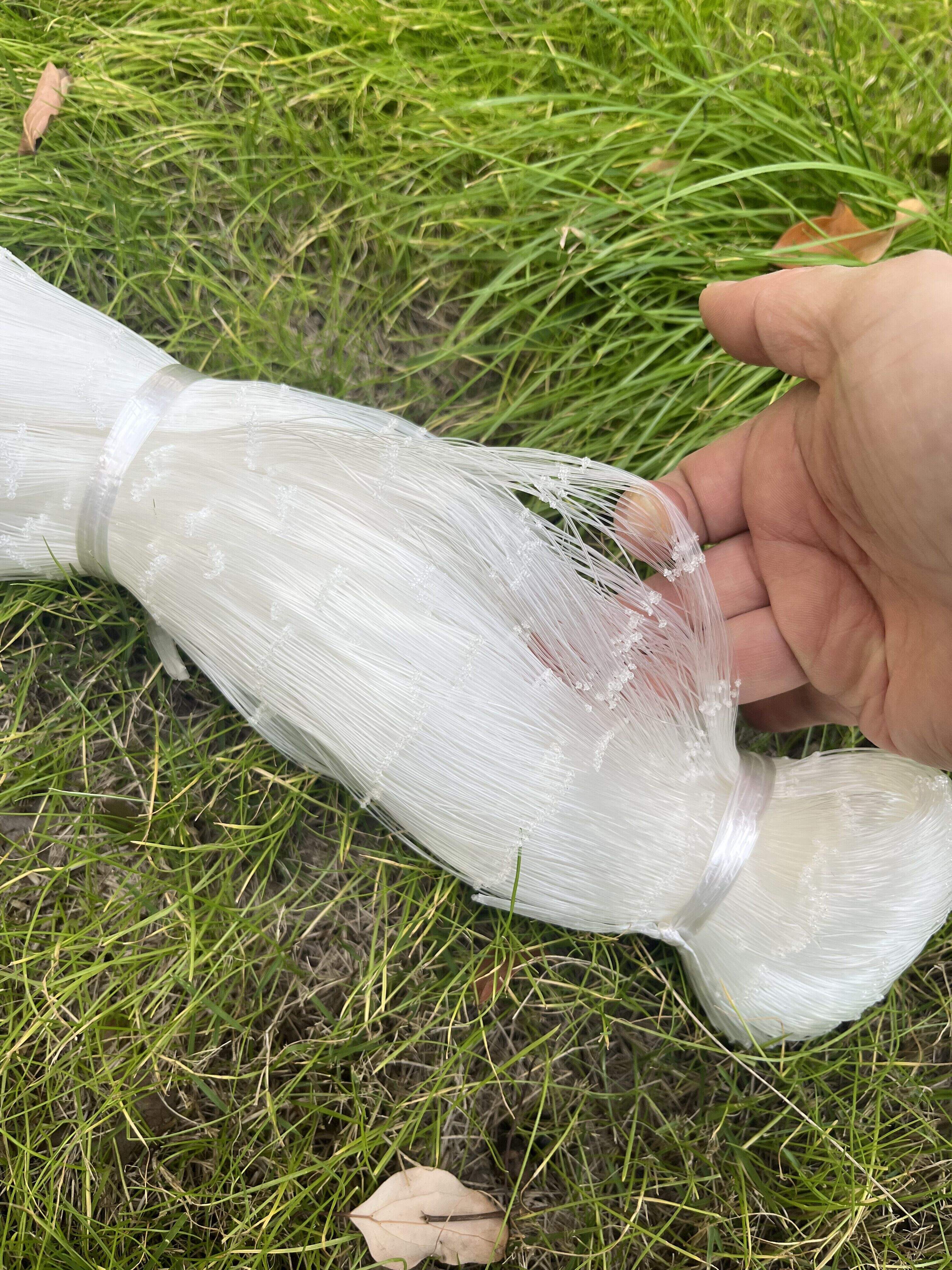 Desempenho Superior em Força e Longevidade