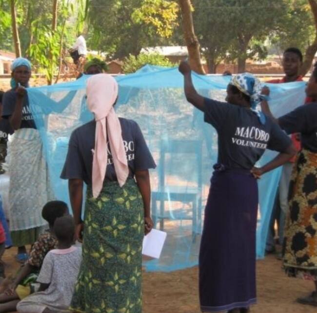 The Unseen Shield How Mosquito Nets Remain a Cornerstone of Global Public Health 1