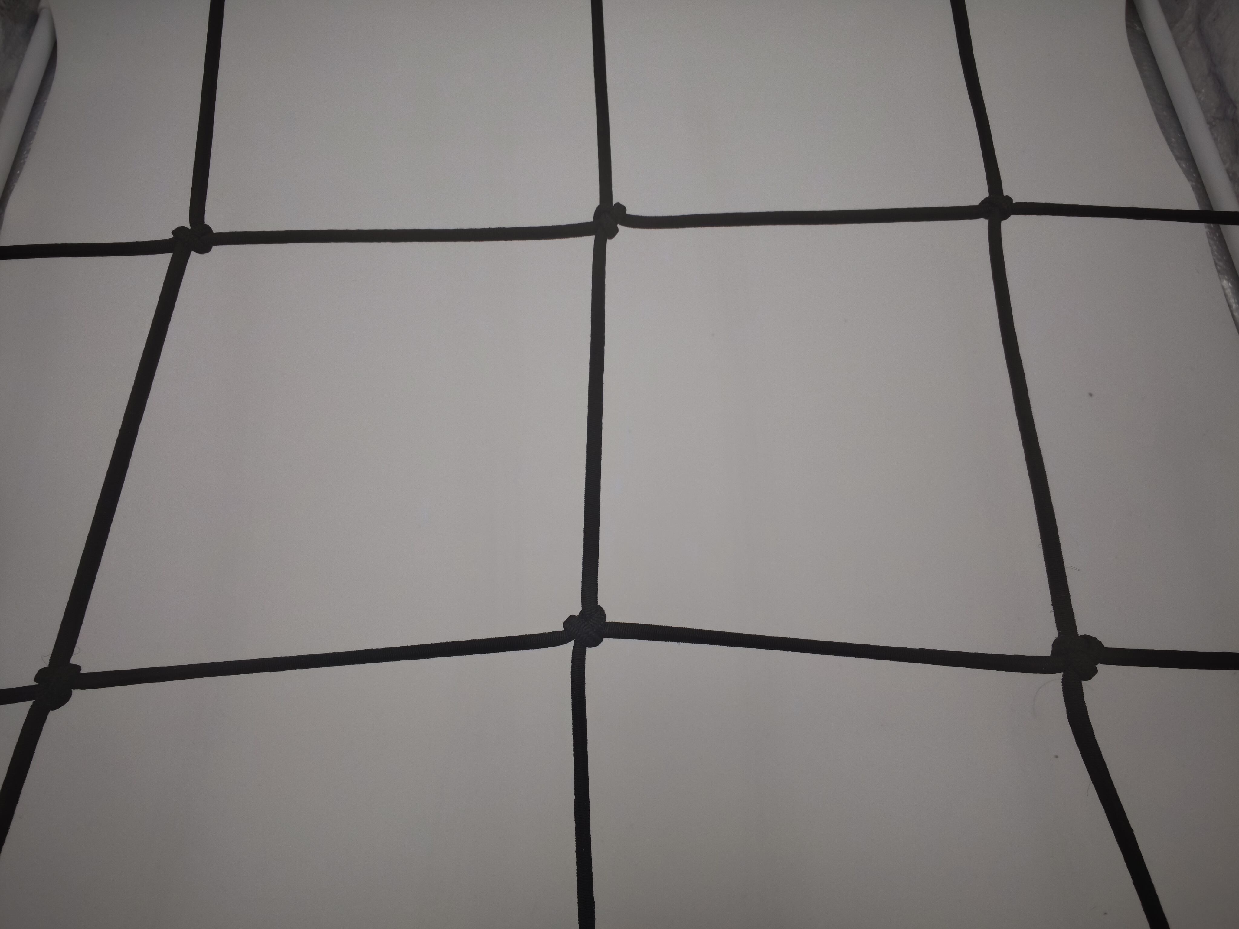 Superior Elastic Technology for Dynamic Plant Support