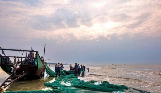 From Battlefield to Backyard: The European Embrace of Camouflage Nets for Stylish Shade and Design