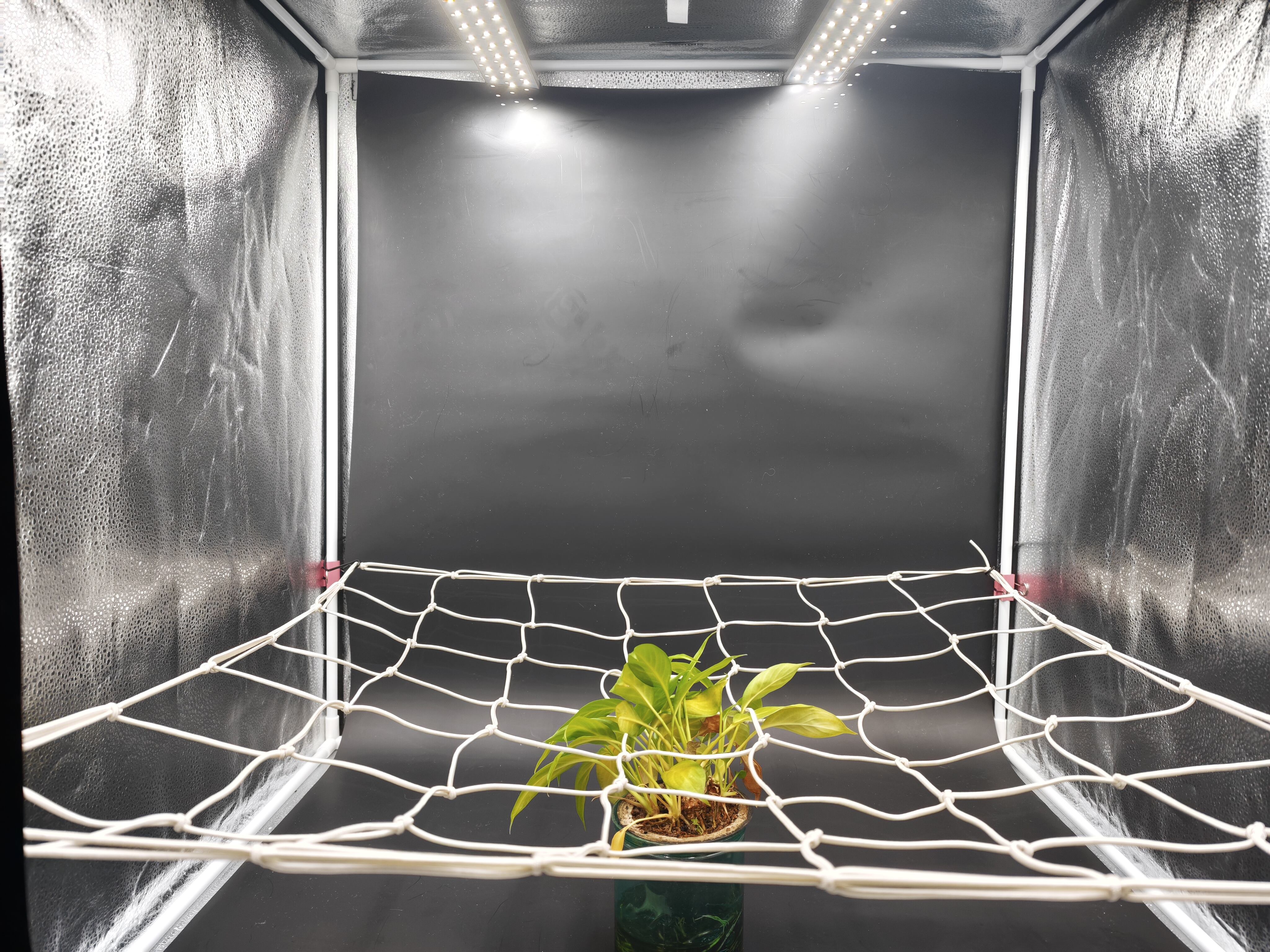 Otimização Aprimorada de Produtividade por meio de Treinamento Estratégico de Plantas