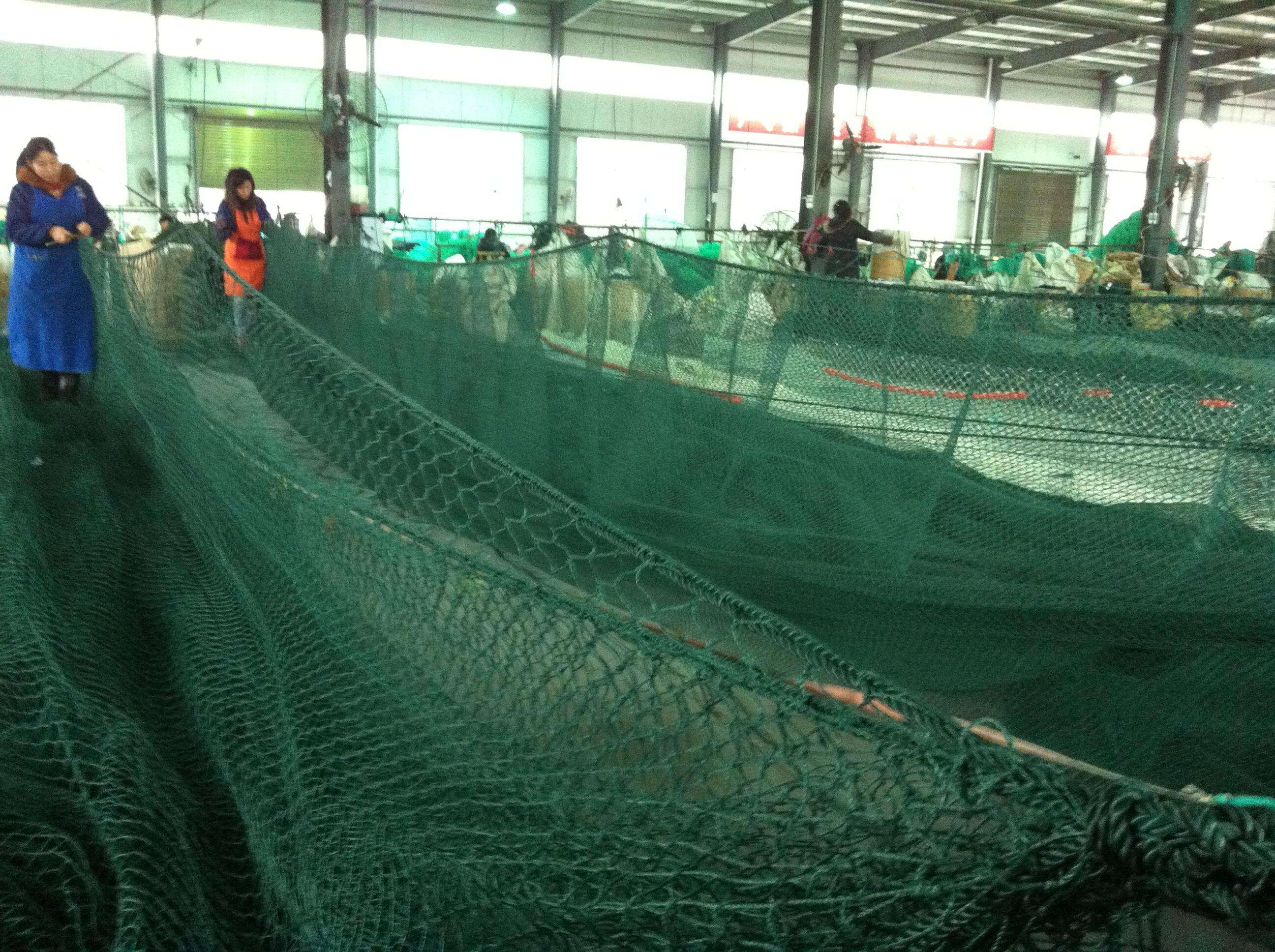 Otimização Superior do Fluxo de Água e Saúde dos Peixes