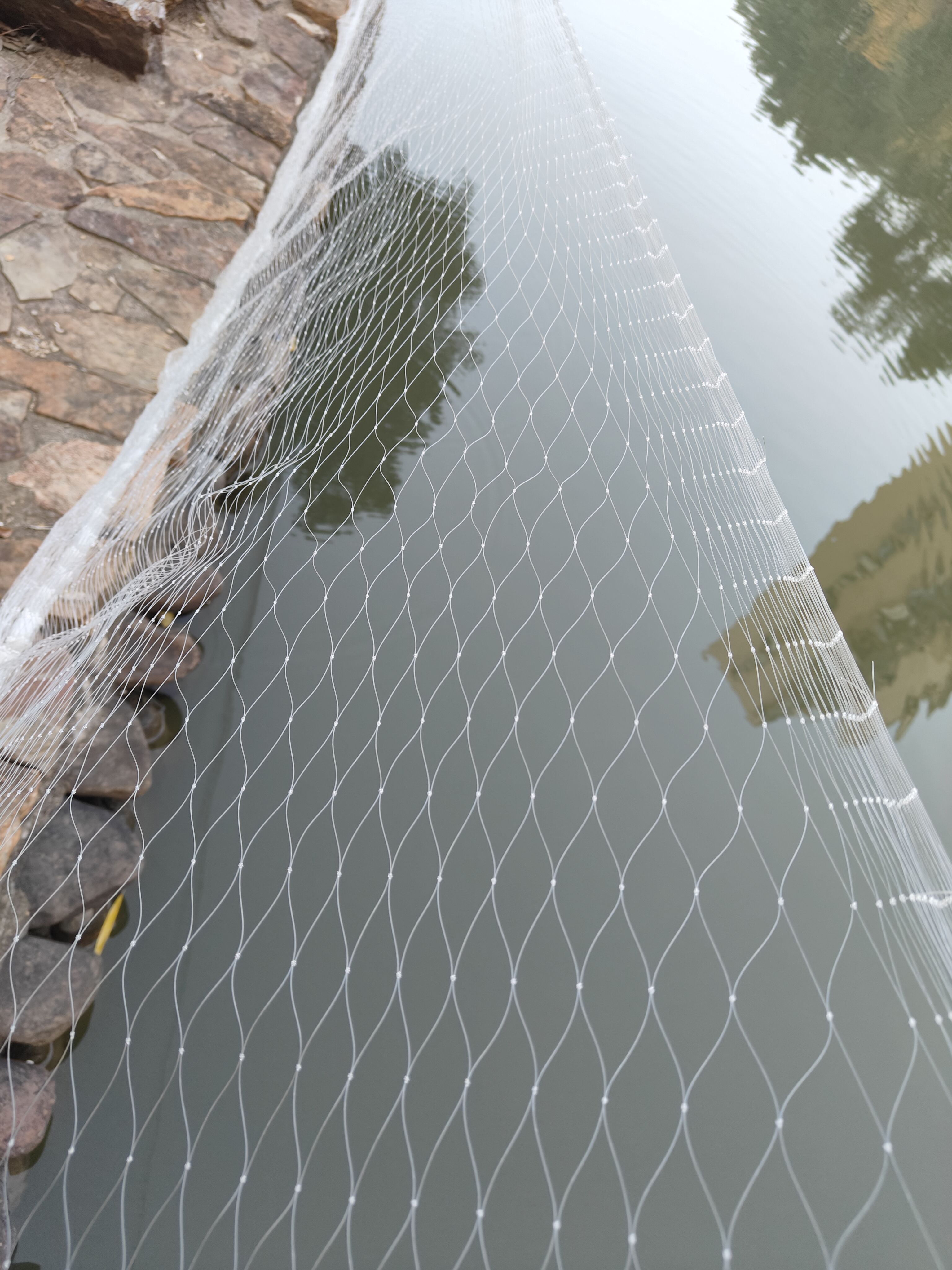 Desempenho Superior em Força e Longevidade