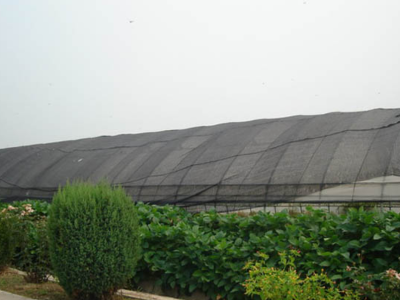 The Technological Revolution in Agricultural Nets for a Hungry Planet