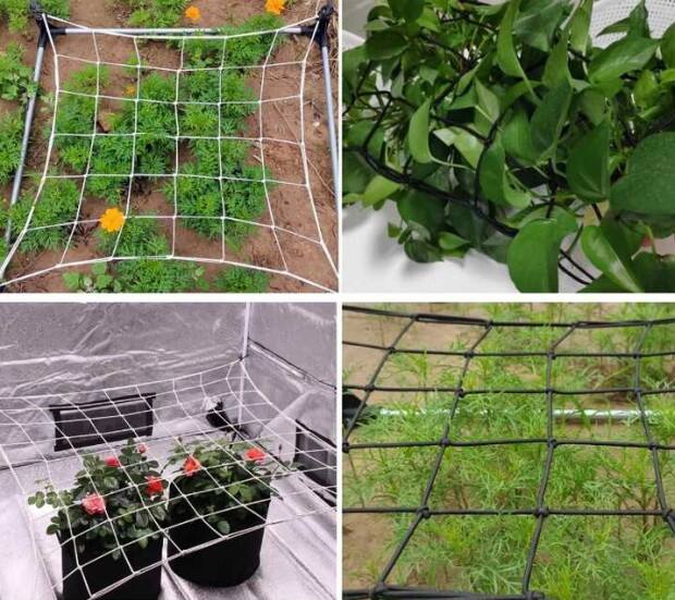 The Technological Revolution in Agricultural Nets for a Hungry Planet 4