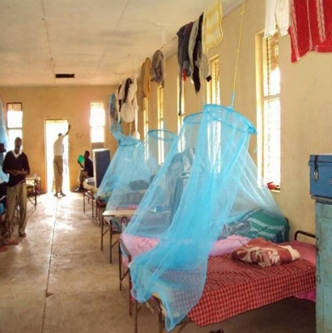 The Unseen Shield How Mosquito Nets Remain a Cornerstone of Global Public Health 2