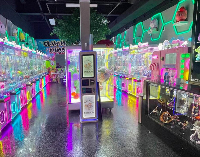 Claw Arcade Case in Houston