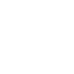 Mastery of Premium Finishing Techniques