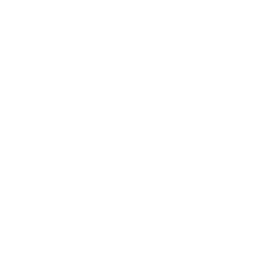 Global-Ready Production & Delivery