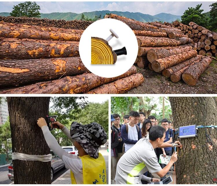 钉子标签 详情页 5_看图王.jpg