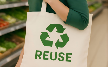 Real-World Success Stories: Wenzhou Xinghe Packaging Co.,Ltd Shopping Bags in Action 🌍