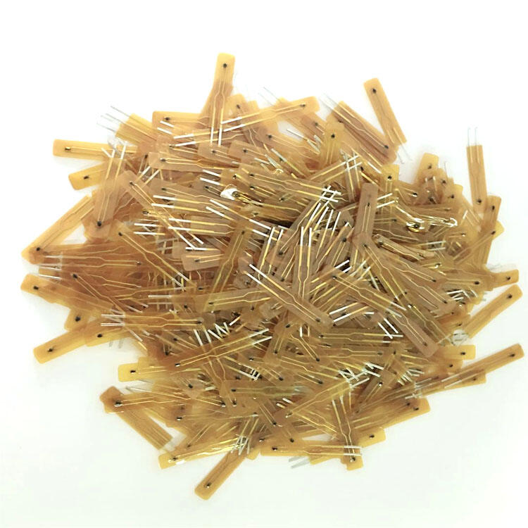 Dukungan dan Layanan Komprehensif