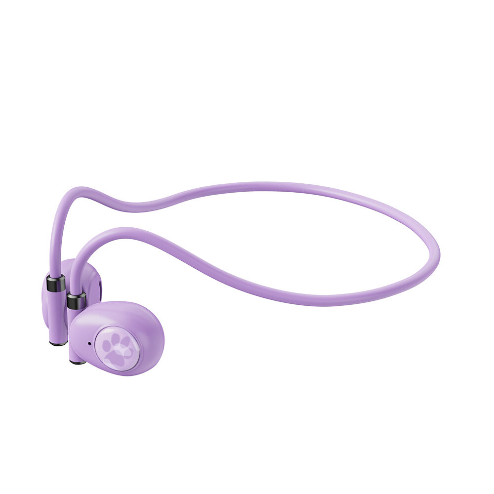 Seamless Real-Time Bidirectional Translation