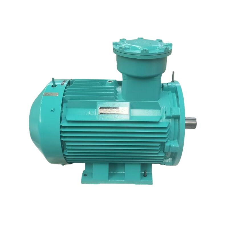 Common usage issues with explosion proof electric motors