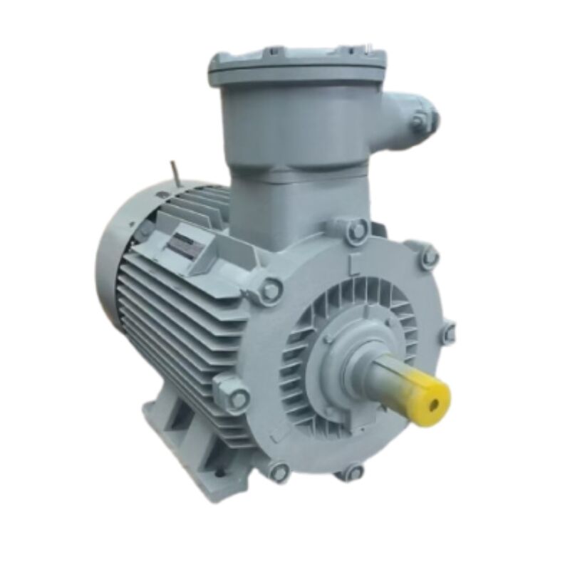 Exploring the versatility of squirrel cage induction motors in various industries