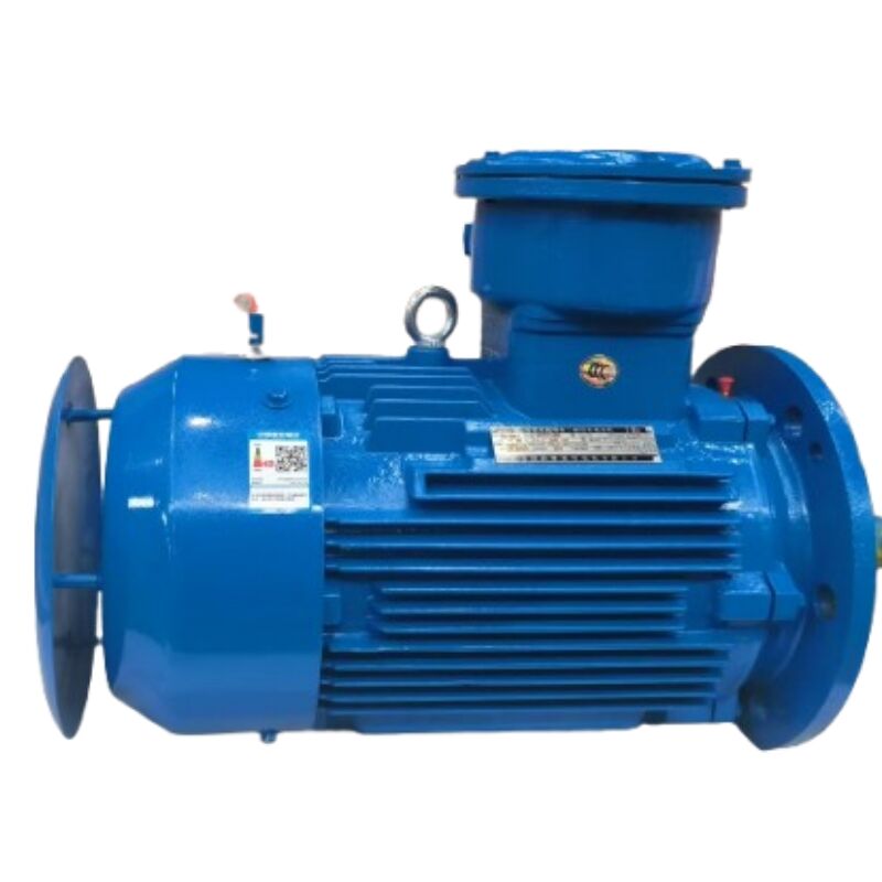 Frequently asked questions about asynchronous 3 phase motors