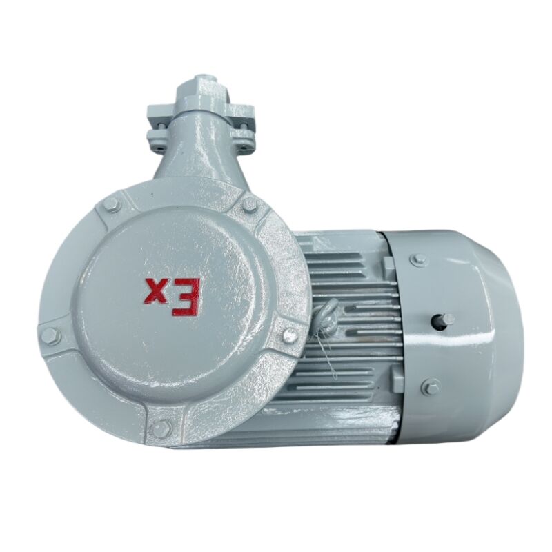 How do ATEX motors differ from standard motors?