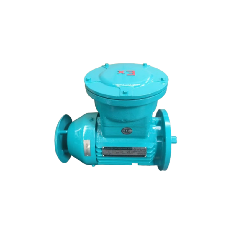 Common issues to consider when installing flameproof electric motors