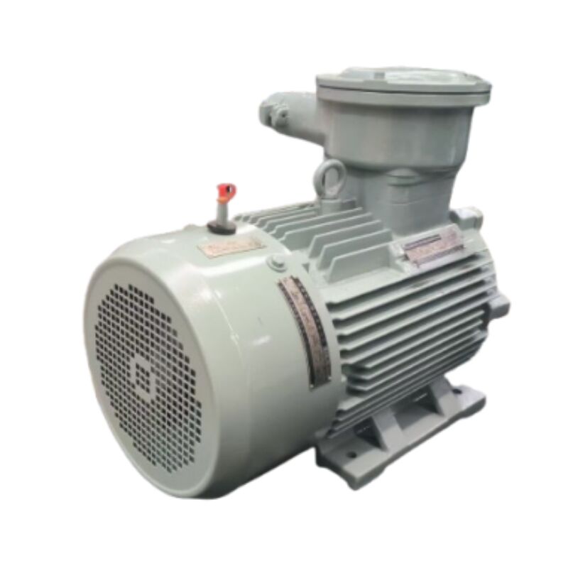 How to install and maintain 3 phase induction motors effectively