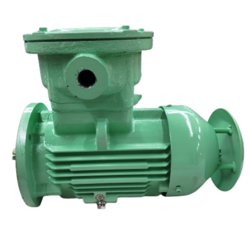 How to choose the right 3 phase electric motor for your needs