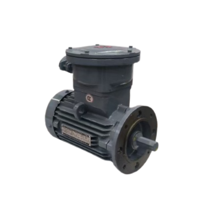 How to choose the right industrial electric motor for your needs