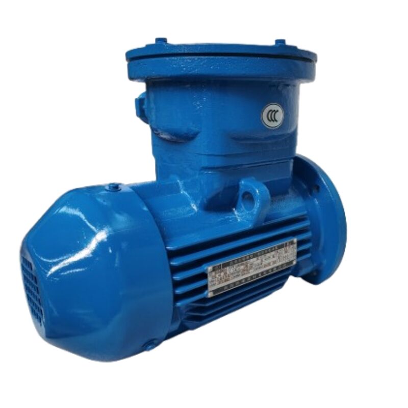 Why are 3 phase squirrel cage induction motors popular in the industry?