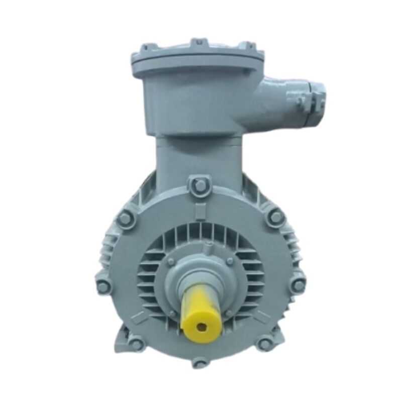 Where to find high-quality squirrel cage induction motors at competitive prices