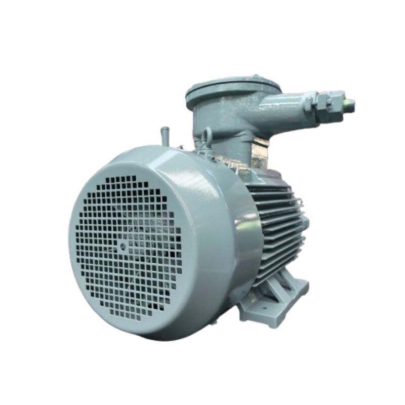 Common issues with ATEX motors and how to address them