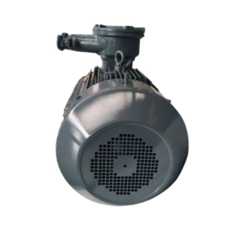 Common issues and troubleshooting tips for 3 phase asynchronous motors