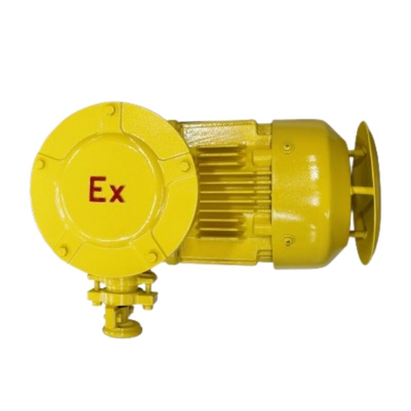 TEFC motor common usage issues