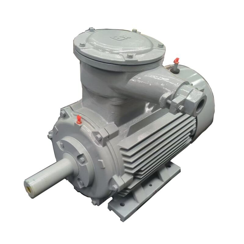 Wholesale prices for high-performance ex proof motors