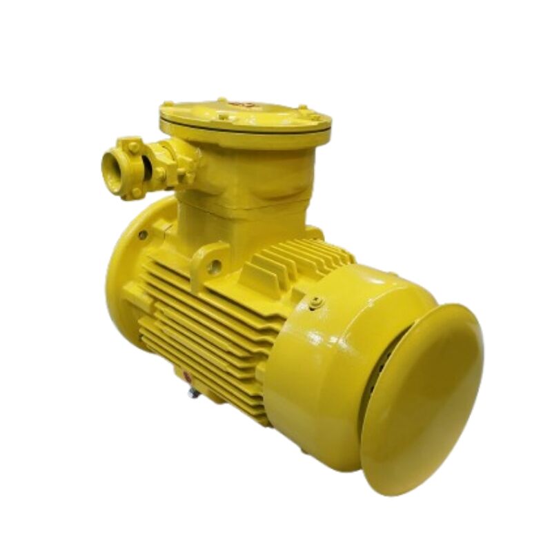 Why Choose Explosion Proof Brake Motors