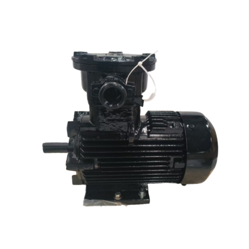 Where to find high-quality AC squirrel cage motors at competitive prices