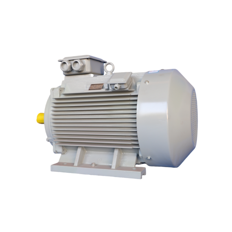 YE4 Series High-Efficiency Three-Phase Asynchronous Motors