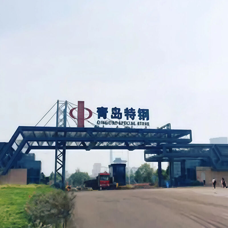 Application of Our Motors in the Steelmaking Industry