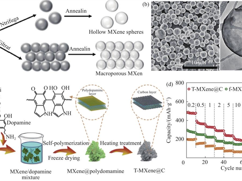 Unlocking the Future of Energy Storage: Strategic Selection of Cathode and Anode Materials in Sodium-Ion Batteries