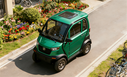 Leisure Electric Car