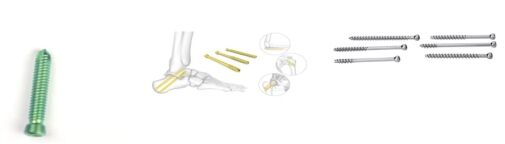 image - 2025-11-03T111318.088.jpg