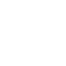 Fast Delivery