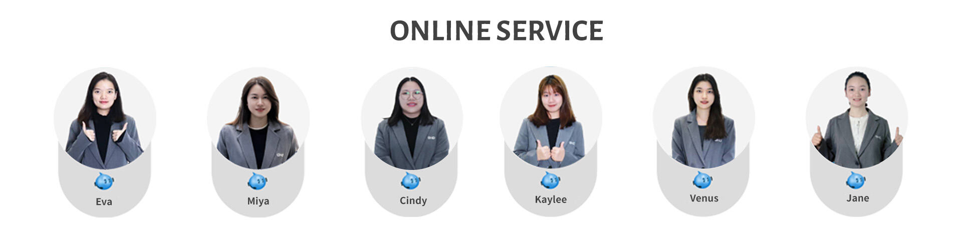 ONLINE SERVICE