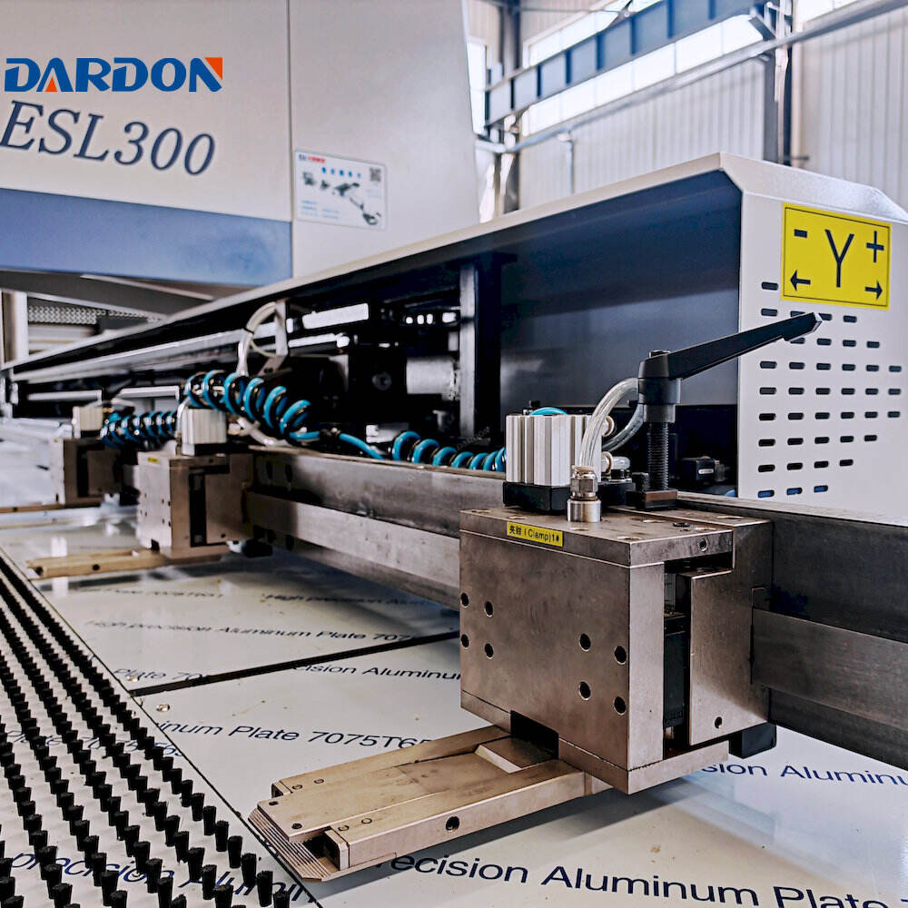 2 in 1 Laser Punch Cutting Machine | Dadong