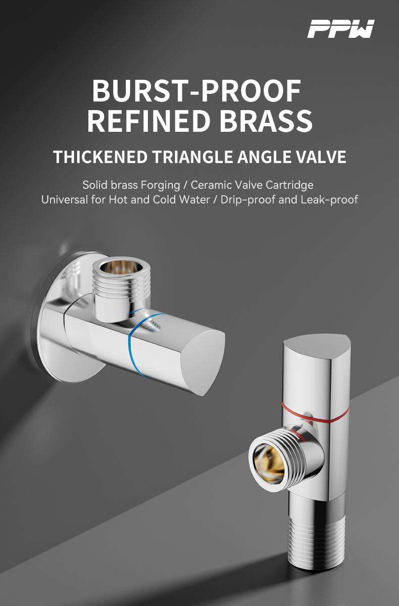 00首图 ap008-菲时特_01.jpg