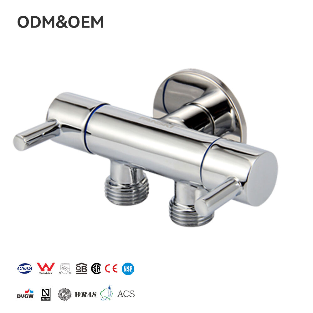 Reżiżtanza Eksceziva kontra l-Korrużjoni u Longevità