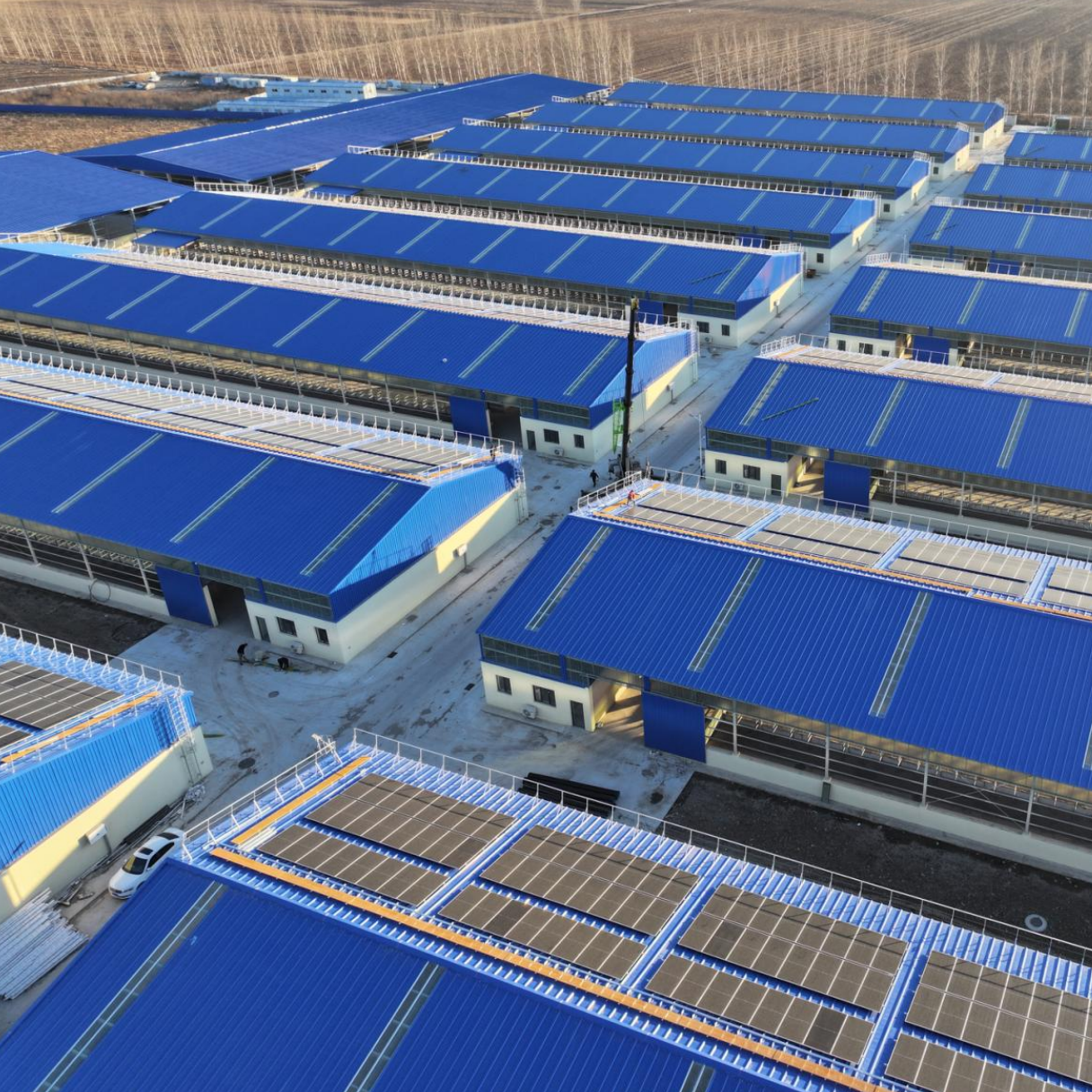 Superior durabilidad y resistencia a las condiciones climáticas