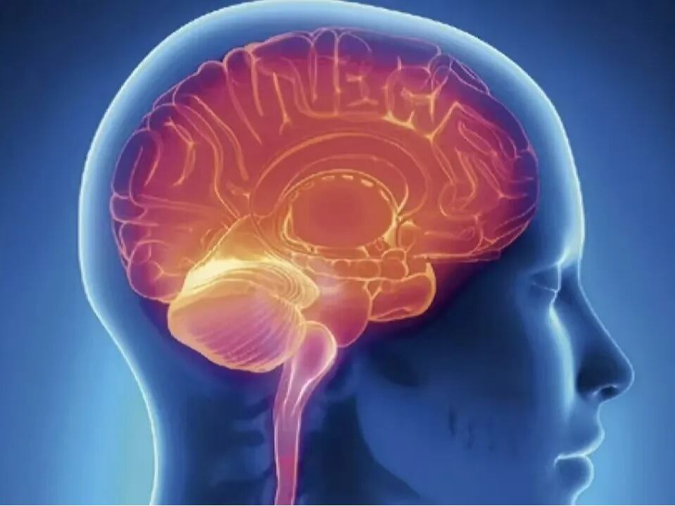 Health Insights | The Daily Wellness Benefits of Hyperbaric Oxygen Therapy