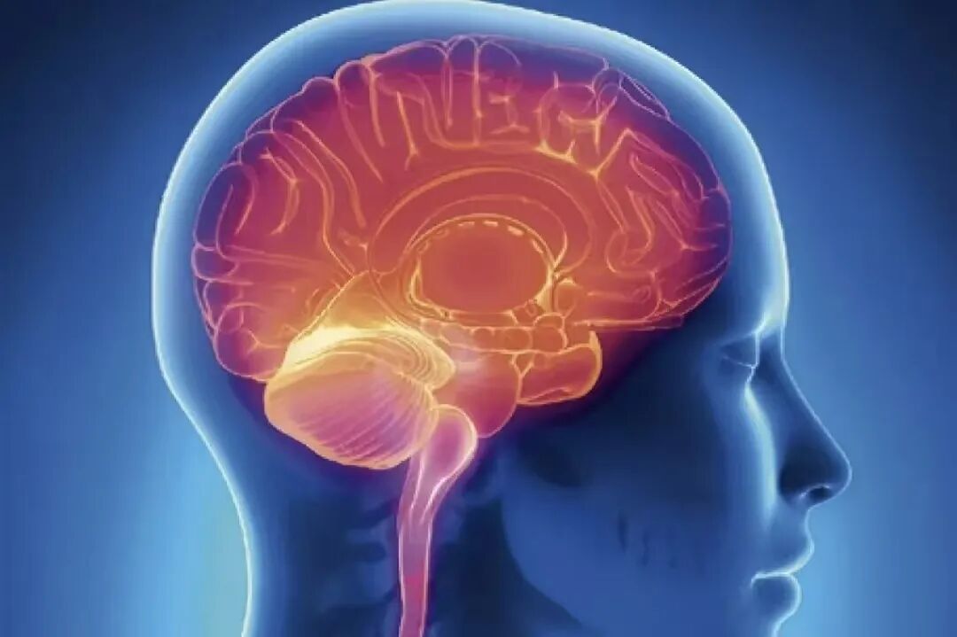 Health Insights | The Daily Wellness Benefits of Hyperbaric Oxygen Therapy