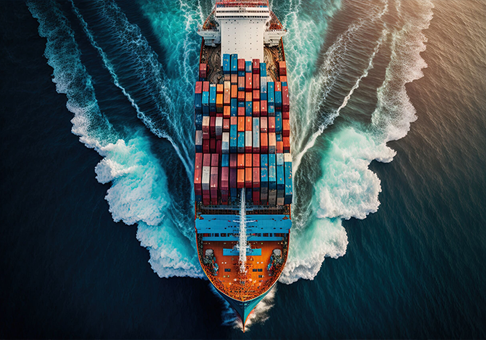 What does CIF stand for in Shipping Terms?