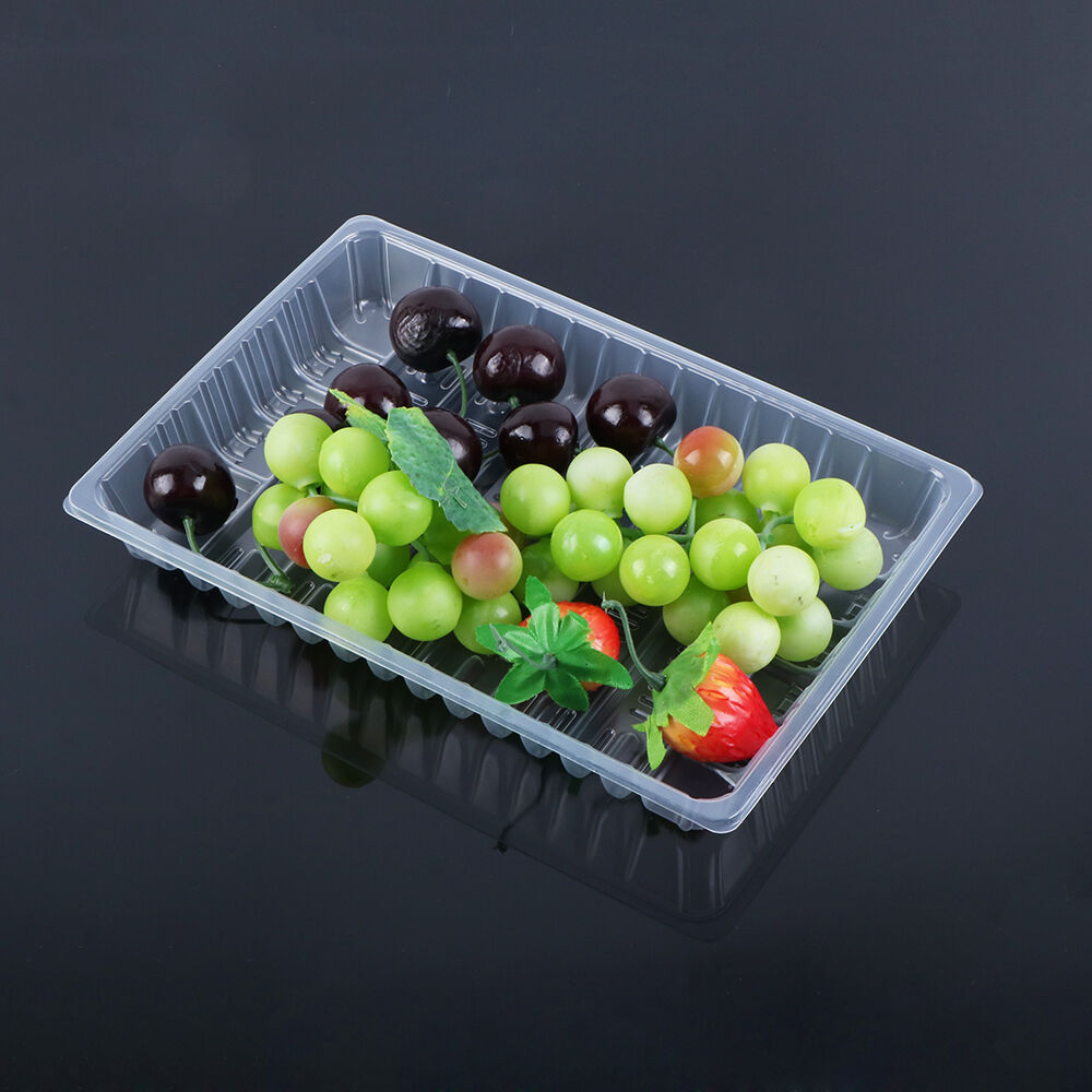 2417 Fresh Food Tray details