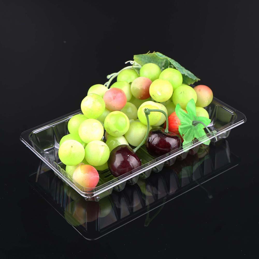 1811 Fresh Food Tray supplier