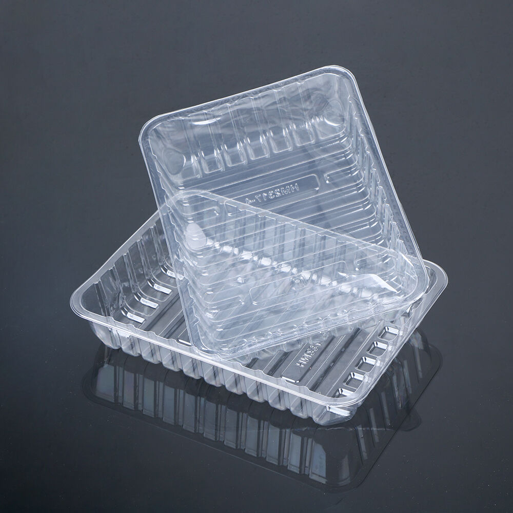 Your Premier Map Container Factory for Food Packaging Solutions